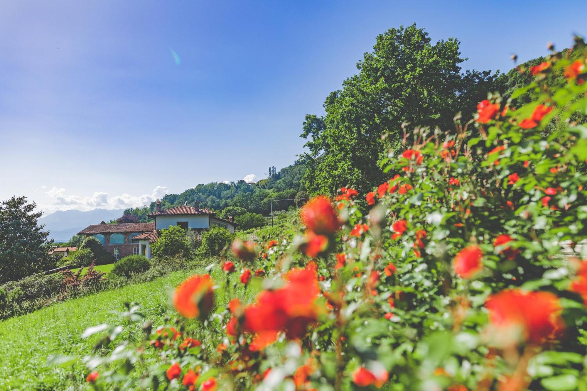Myvilla Suites Palazzo Canavese Exteriér fotografie